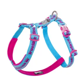 3M Truelove Lightweight Webbing Harness