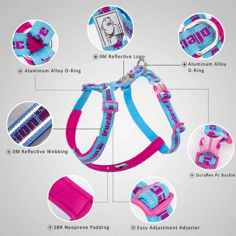 3M Truelove Lightweight Webbing Harness