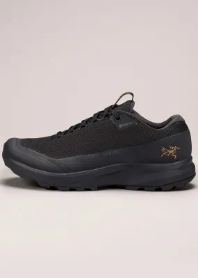 Arc'teryx Women's Aerios FL 2 GORE-TEX Shoes