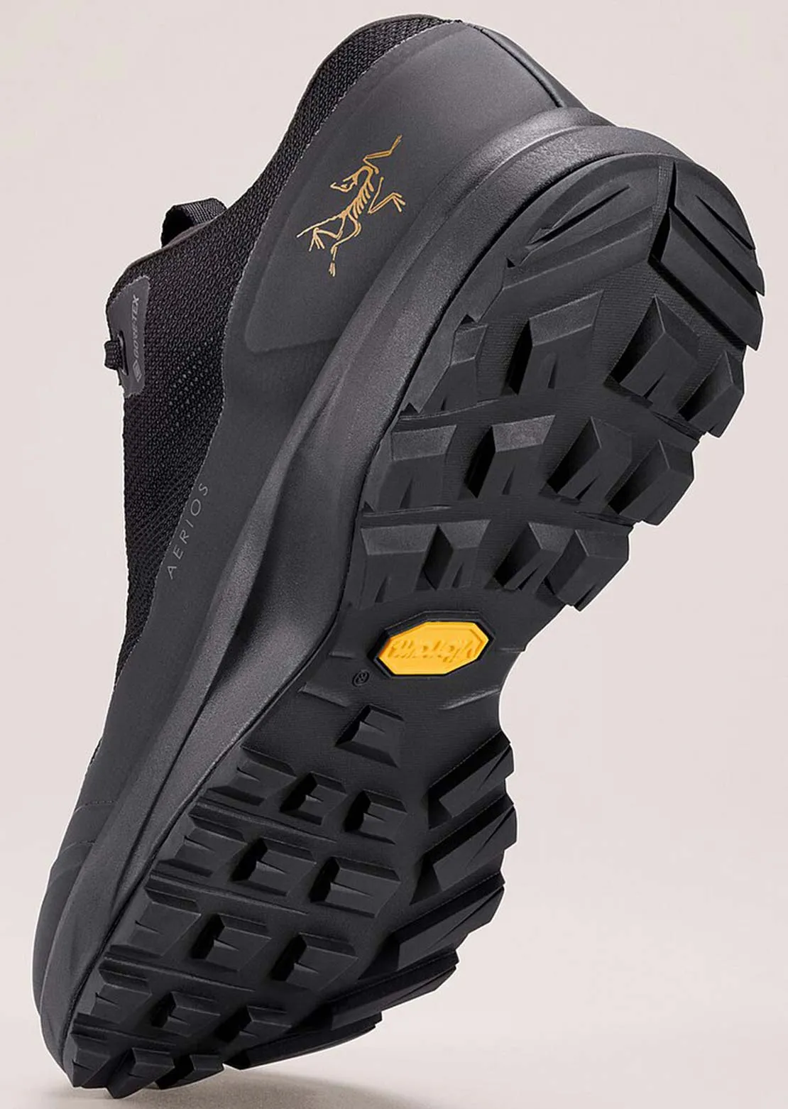 Arc'teryx Women's Aerios FL 2 GORE-TEX Shoes